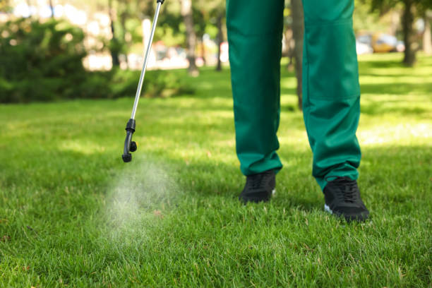 Wildlife Control Services in Del Aire, CA