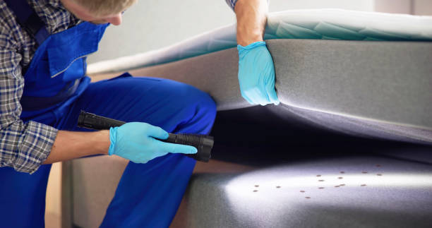 Best Bed Bug Extermination  in Del Aire, CA