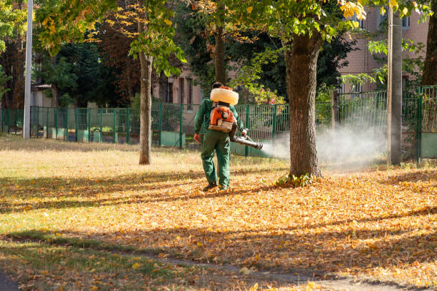 Best Pest Removal Services  in Del Aire, CA