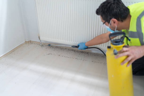 Best Pest Control Near Me  in Del Aire, CA